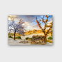 Wallity Cuadro decorativo de cristal templado Multicolor 50 x 70 cm